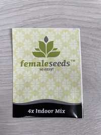 Nasiona konopii Female Seeds - Indoor Mix