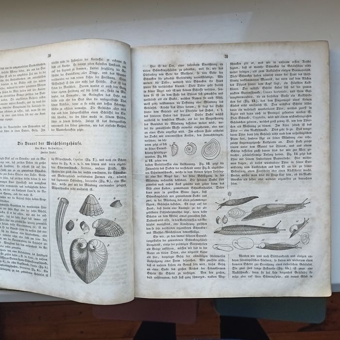 Unikatowy egzemplarz książka 1853 Schlawe Sławno Pomorze Pommern