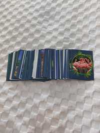 Cromos Mundo Animal - Panini