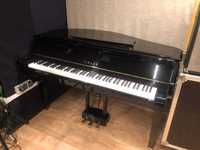 Yamaha Gran Touch fortepian cyfrowy