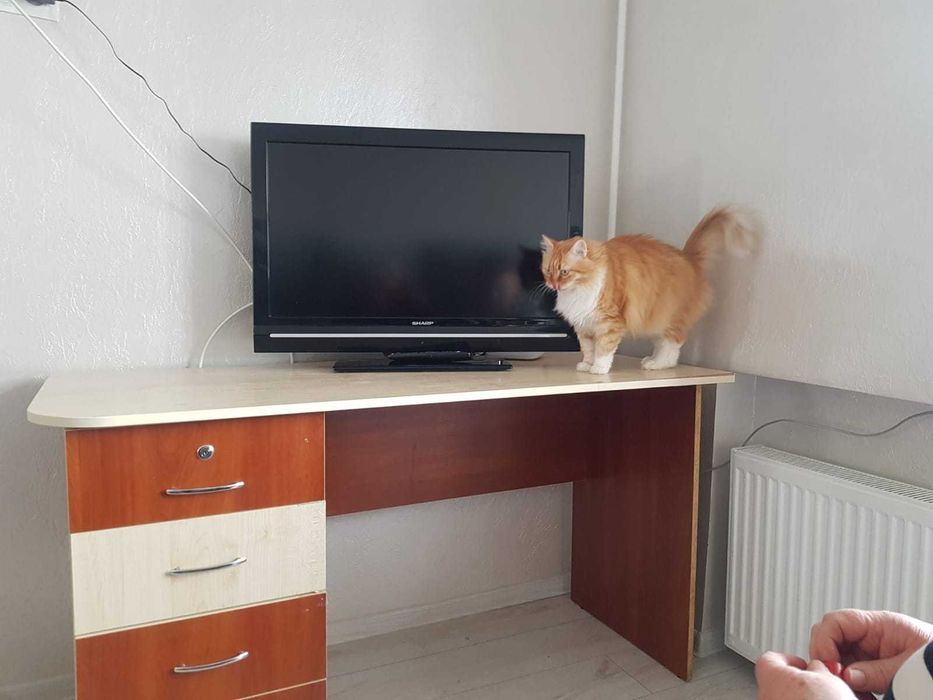 Письмовий стіл Італія