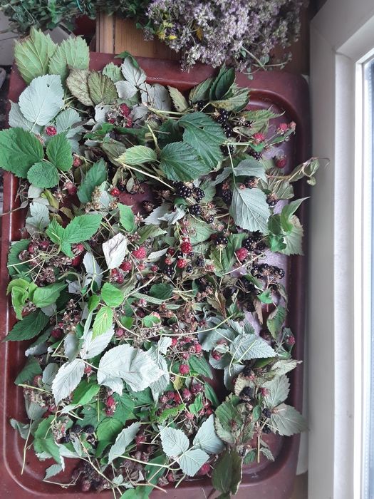 Продам Чаи травяные. Ассорти. Отличный подарок для друзей и родных