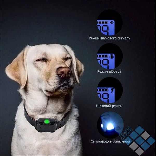 Электронный ошейник для дрессировки собак / електронний нашийник