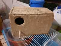 Ninhos para aves de pequeno porte