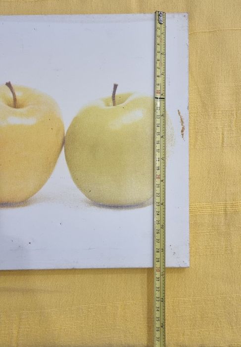 Tela  para Parede medidas nas fotos recolha no local