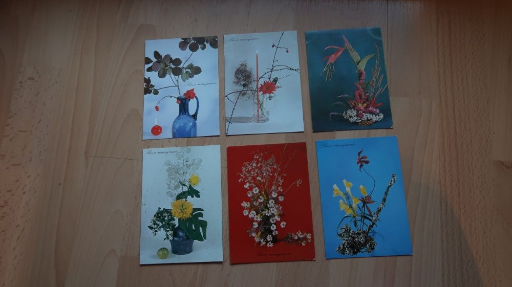 12 czystych starych kartek z kwiatami kartki pocztowe stare pocztówki