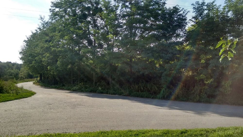 Земельна ділянка с. Рославичі !