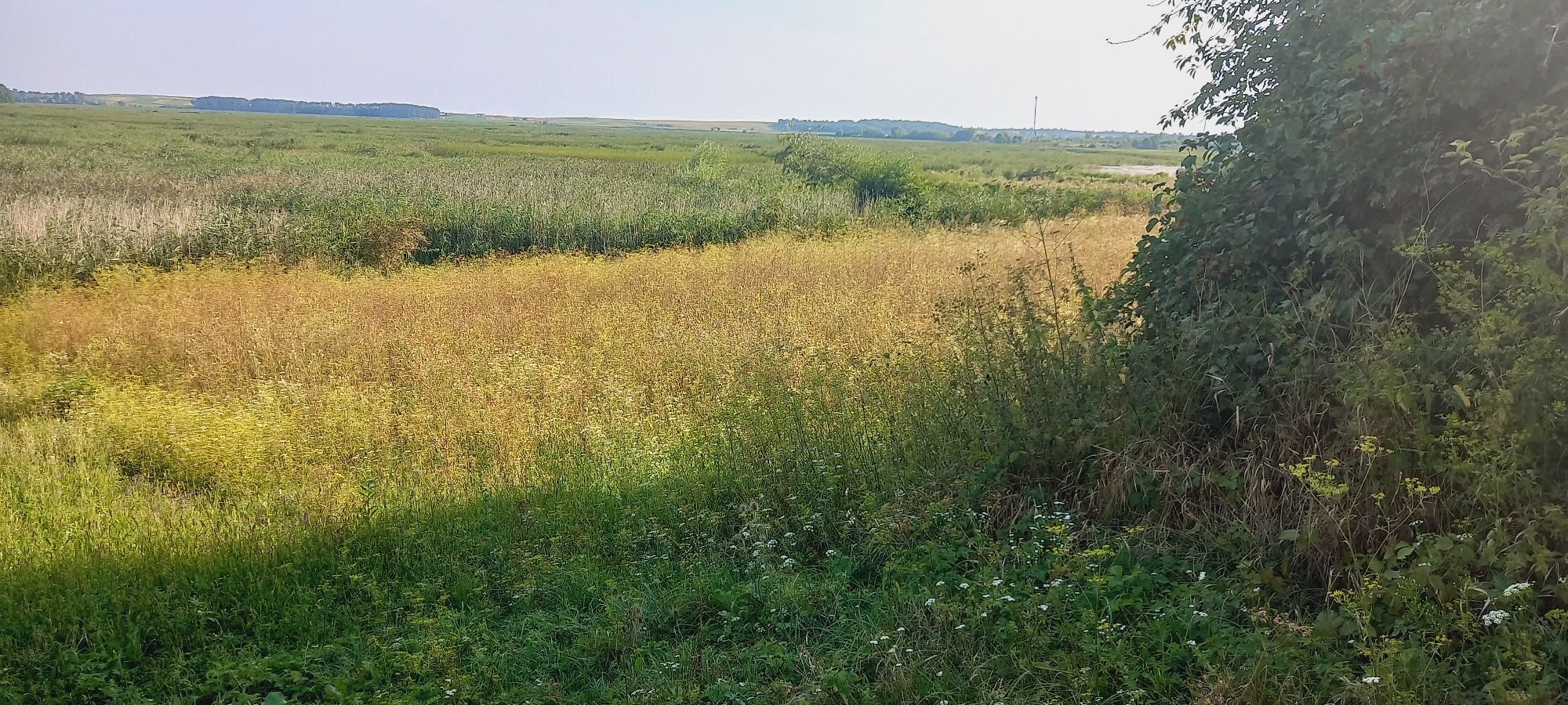 Земельна ділянка з виходом до р. Стир