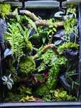 Terrarium tropikalne 40x40x60 gekon