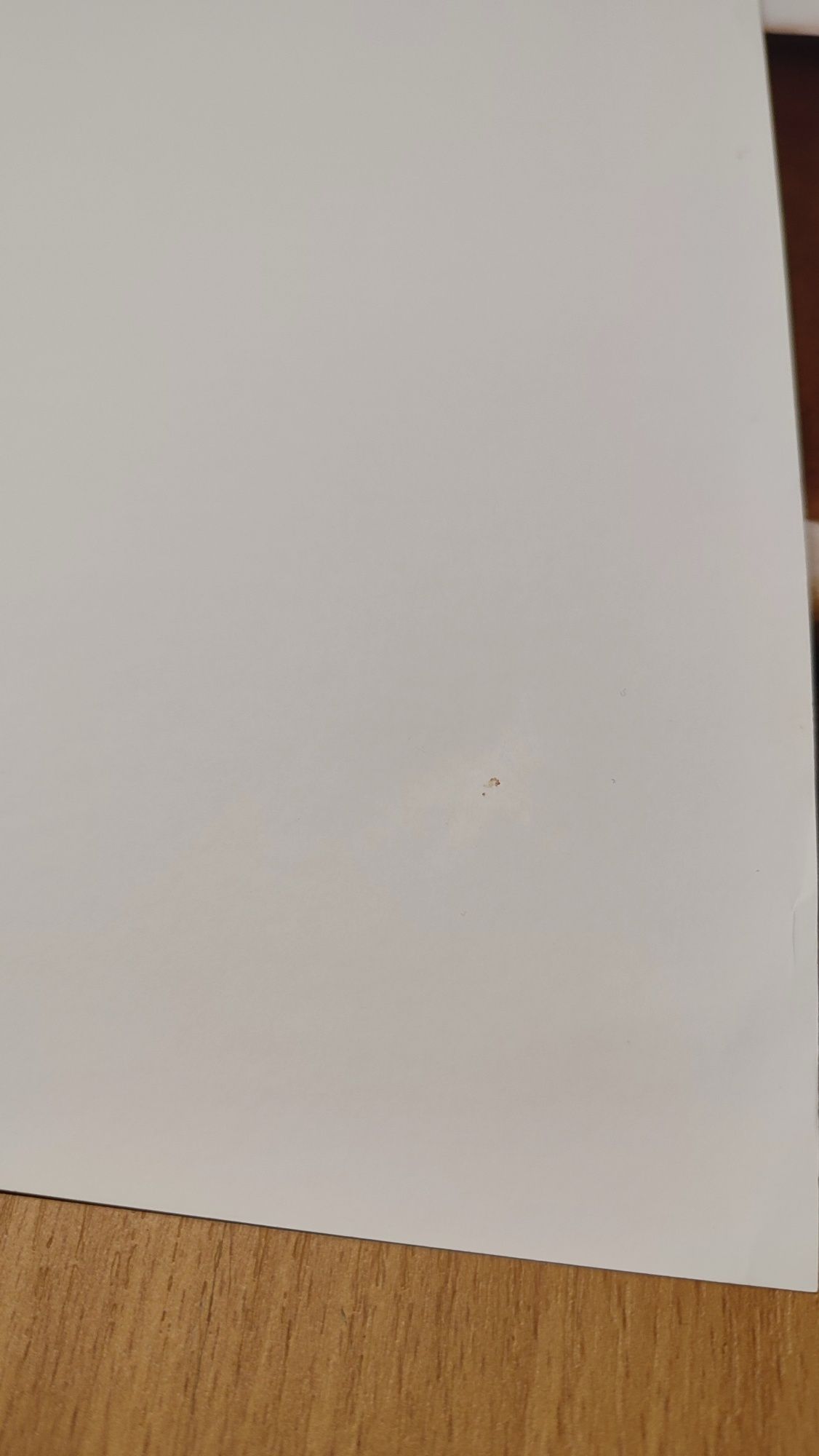 Zestaw 2 plakatów 50x70 plakat do ramki Napis Trawa Pampasowa OUTLET