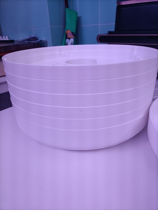 Desidratador de alimentos - RESERVADO