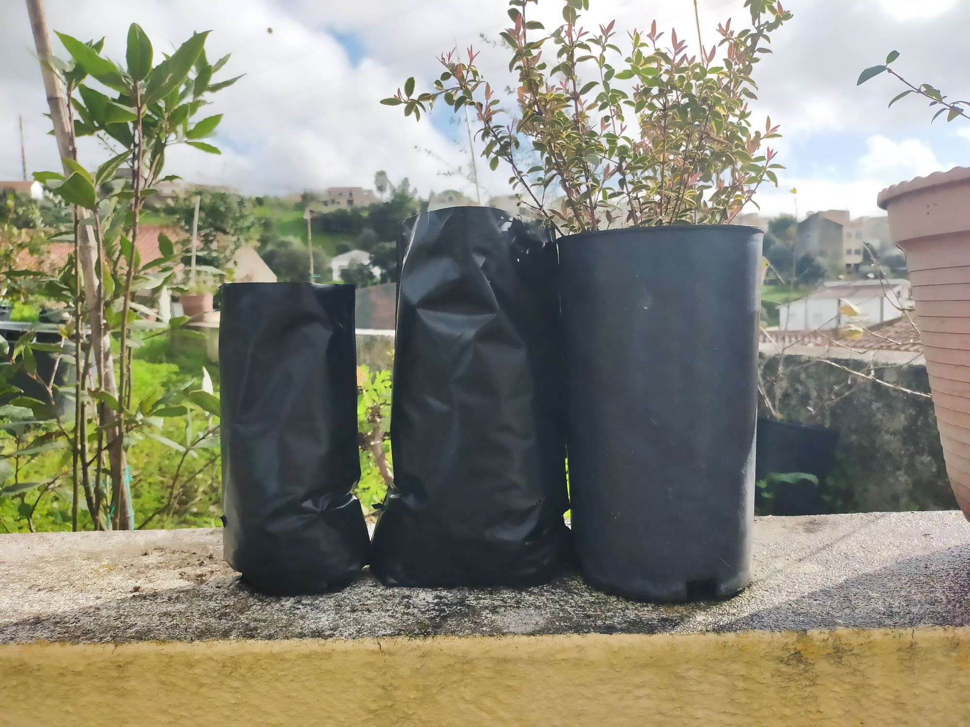 Sacos para plantas 15x20 ou 20x30