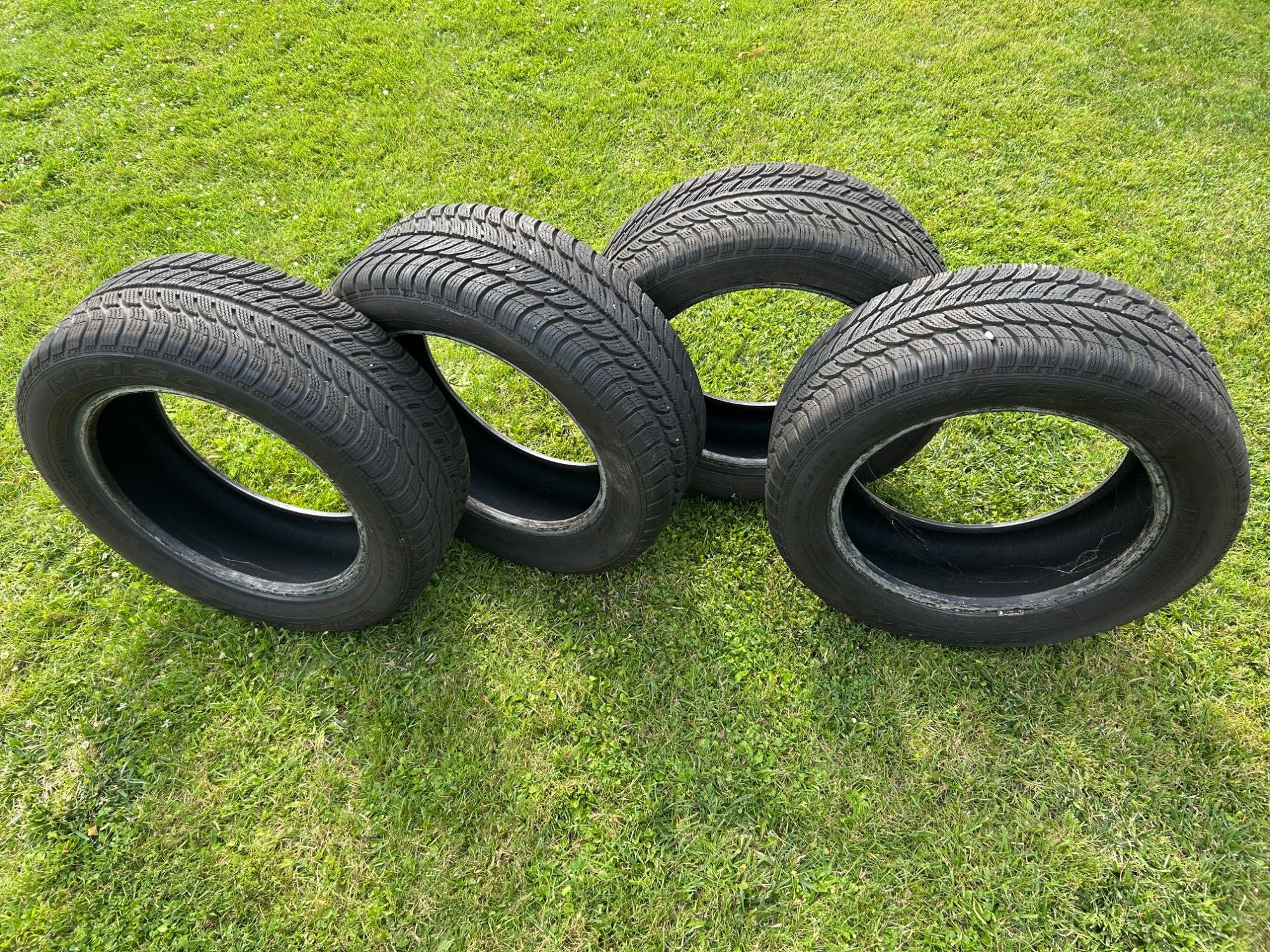 DĘBICA Opona zimowa Frigo 2 205/55R16 91T
