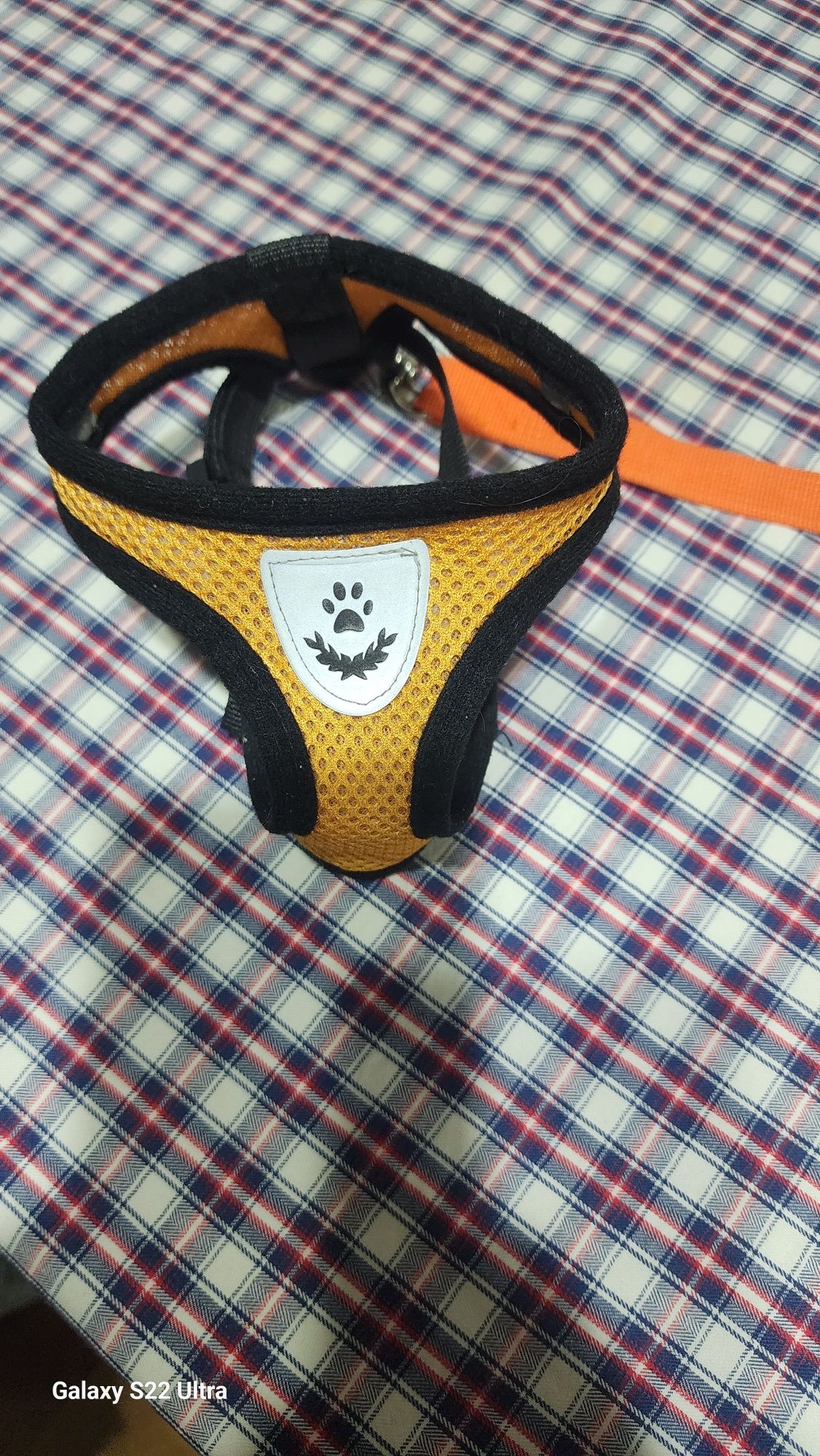 Transportadora de animais