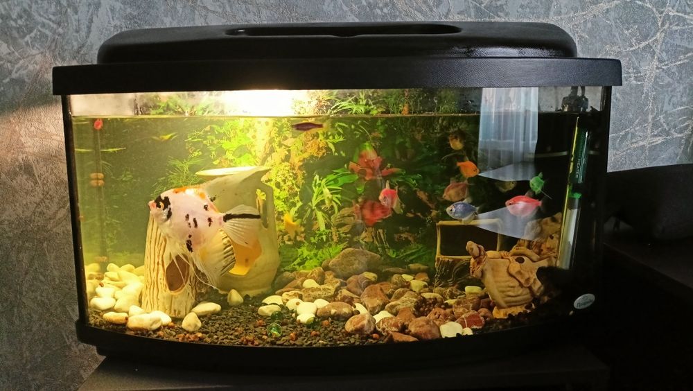Продам аквариум на 60 л со всем .