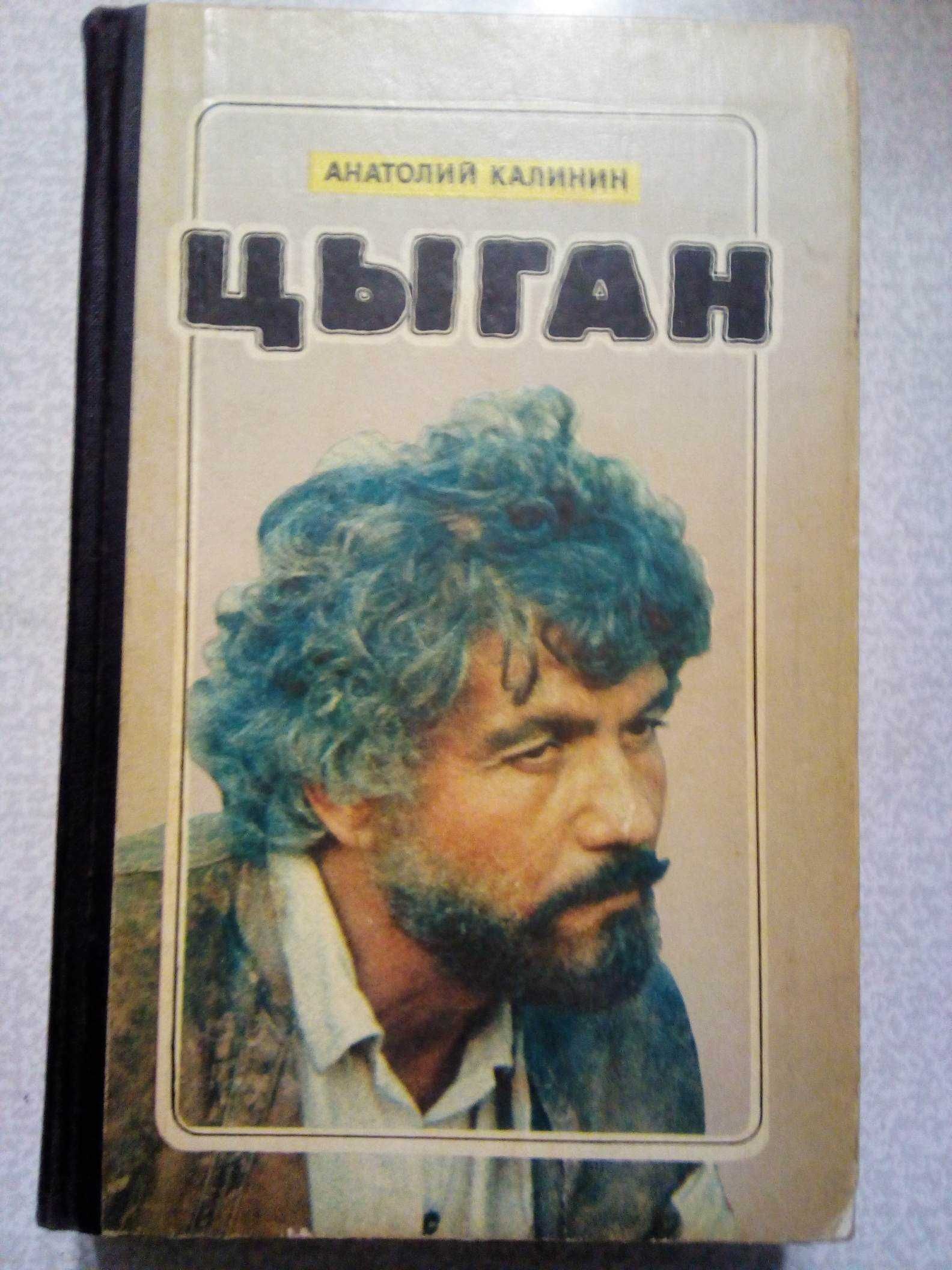 Книга Цыган А.Калинин