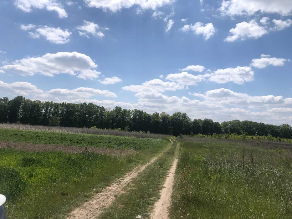 Продається земельна ділянка в Бохониках