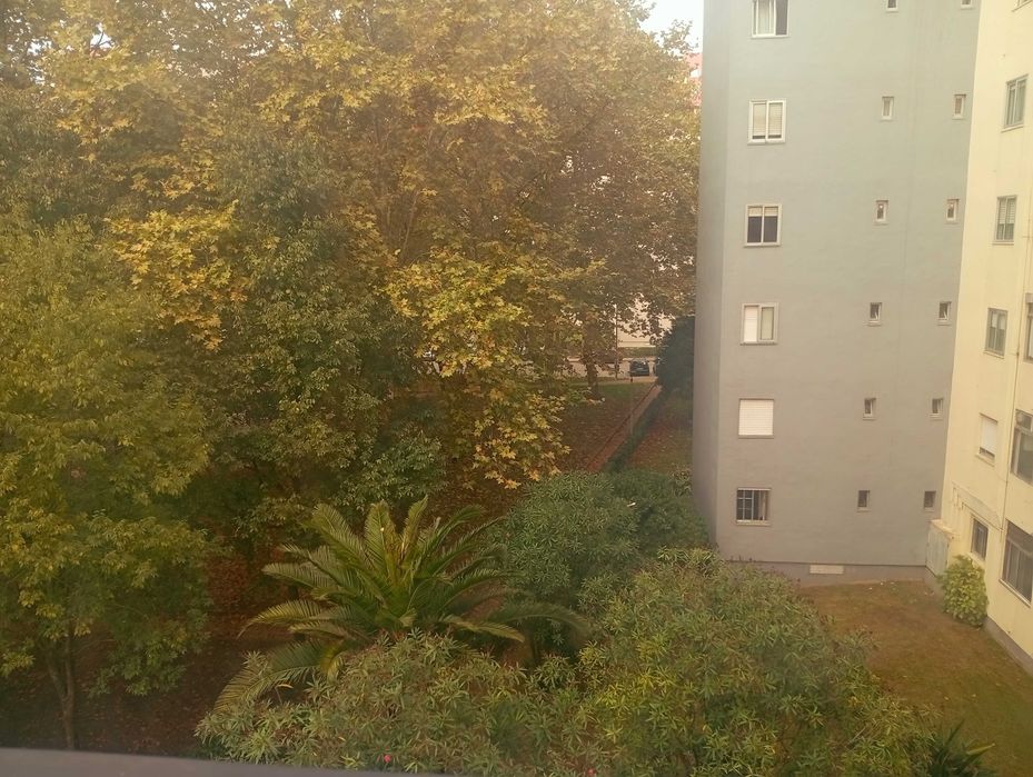 Quarto para estudantes em apartamento T4 na Prelada