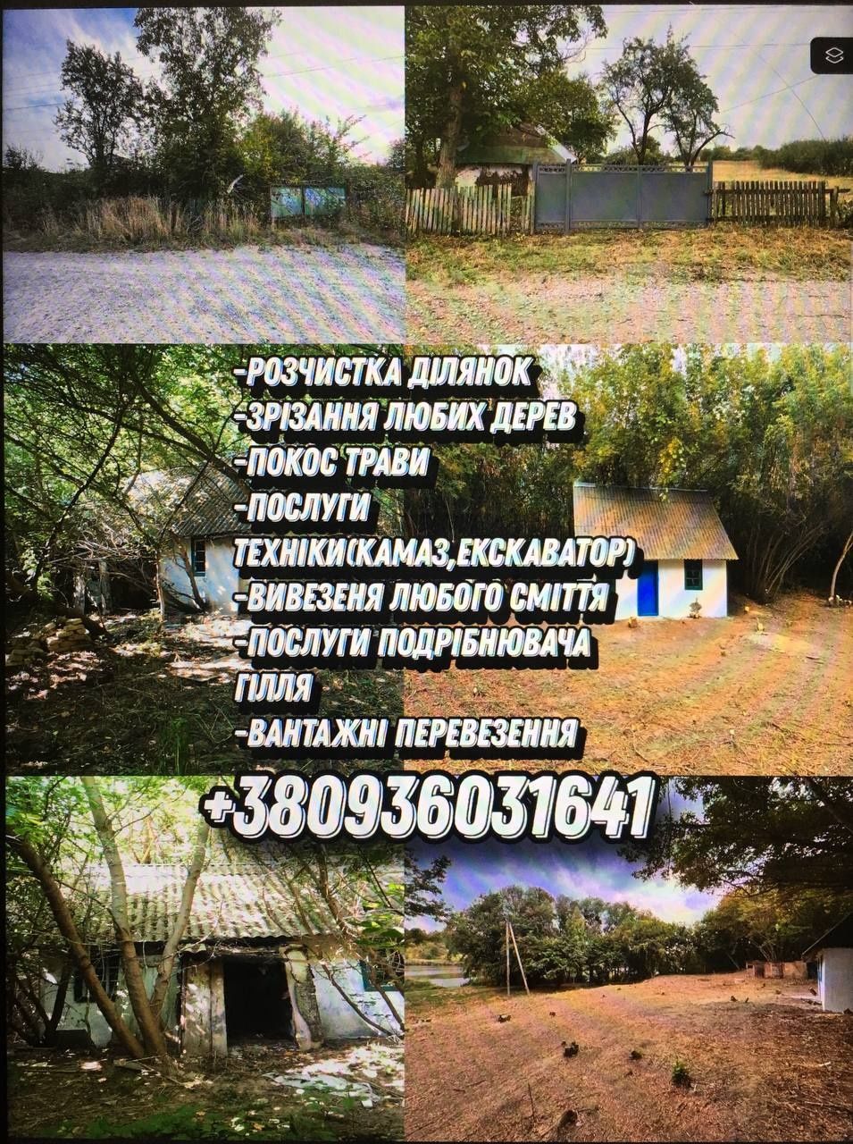 Зрізання дерев, вивіз сміття, демонтаж, покос трави