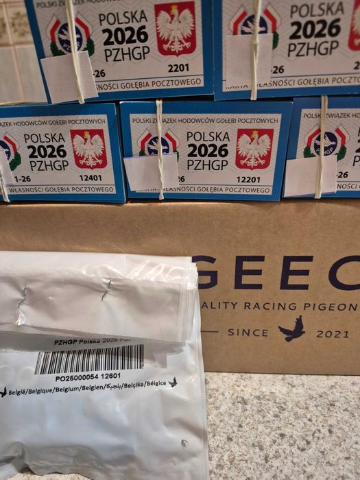 Oryginalne obrączki PZHGP fci na 2026rok