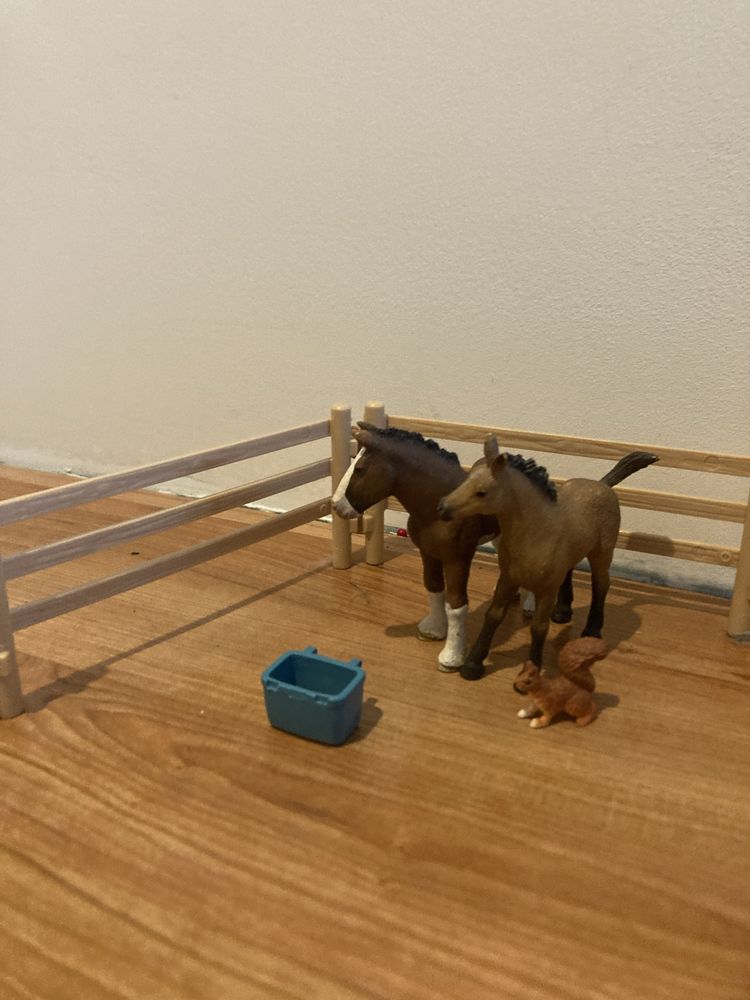 Zestaw schleich