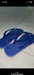 Havaianas - Azul Escuro