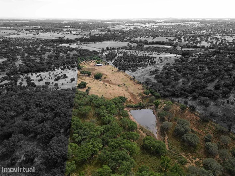 Quinta Courela da Mina