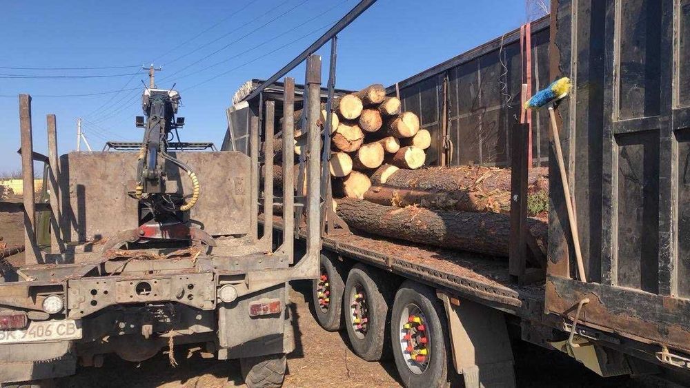 Кругляк (колоды) диаметр 15-25 мм. Длина от 4 до 6м. Все виды оплат