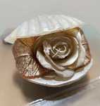 Rosa Dourada de Cera Perfumada dentro de Concha - Charme e Elegância!
