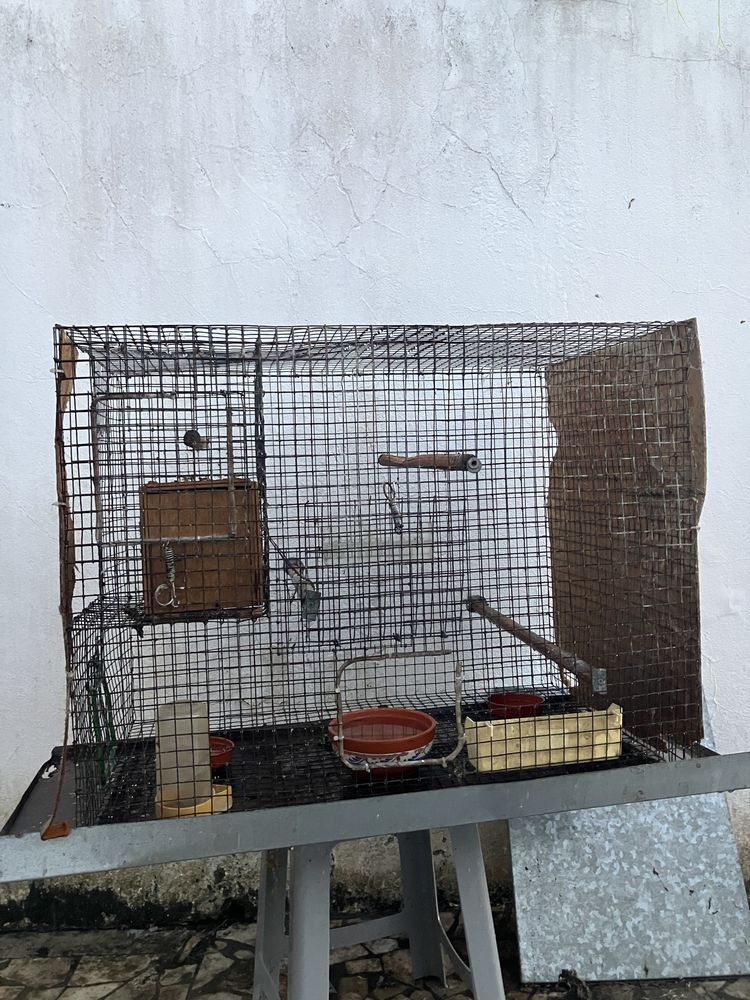 Viveiros para pássaros