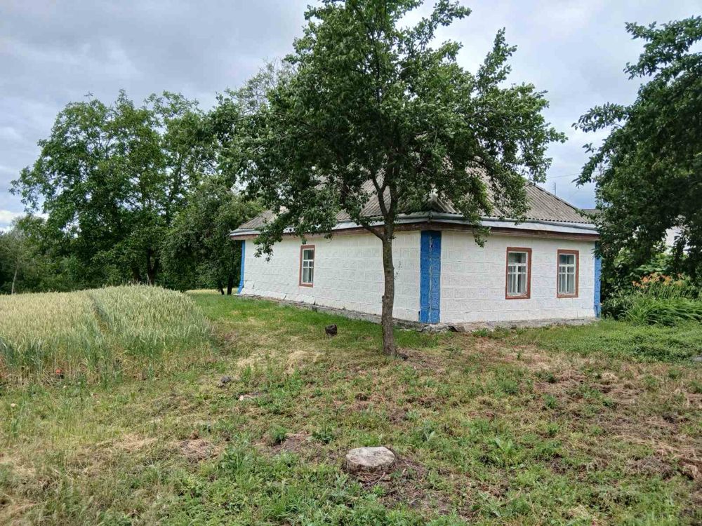 Продам будинок в мальовничому селі