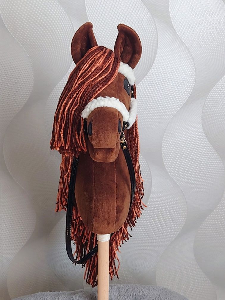 Hobby horse konik