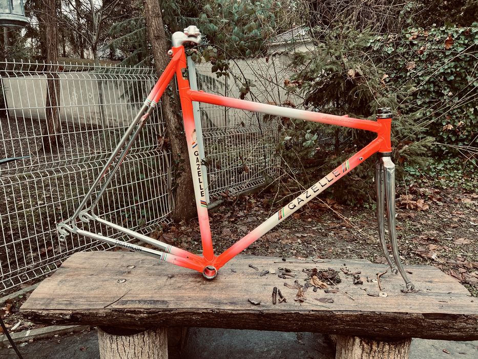 Unikatowa Gazelle AA-Frame Triathlon Colnago r63 Roto Campagnolo Nitto