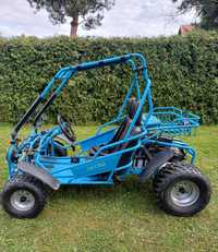 Buggy 250 Nitro Motors 2017r.