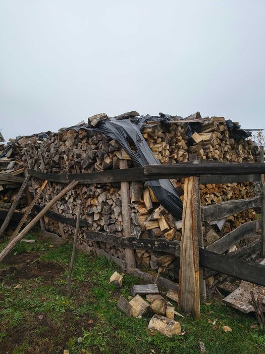 Sprzedam Drewno Opałowe