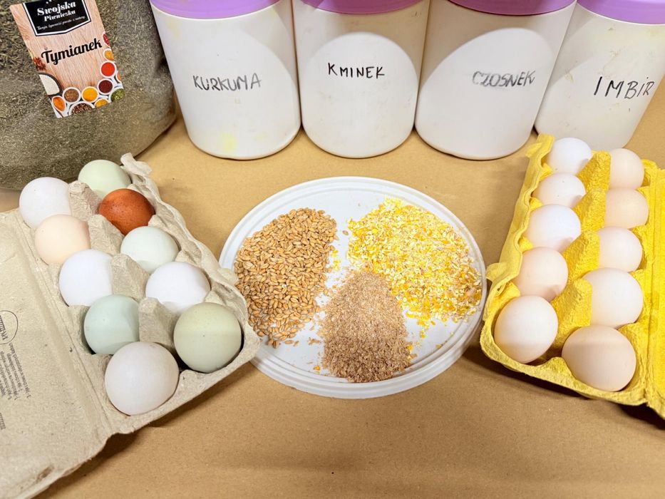 Sprzedam Jajka jaja swojskie wiejskie z wolnego wybiegu