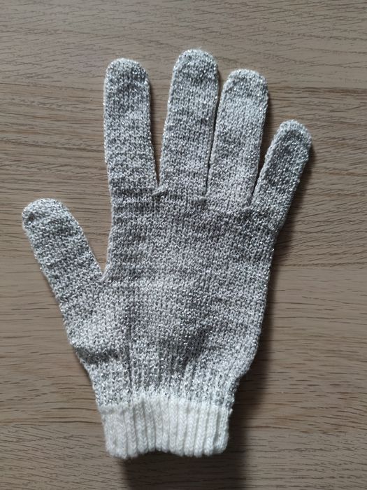 Rękawica do czyszczenia szyb akwarium JBL cleaning glove