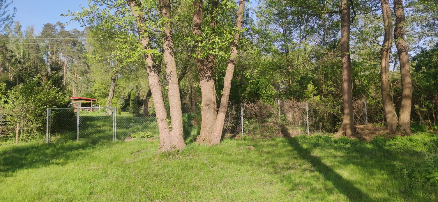 Działka nad jeziorem