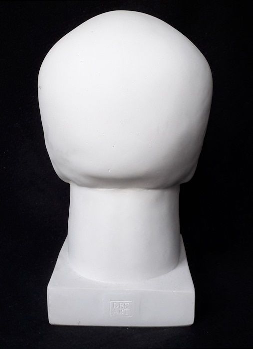 Gipsowa model czaszka