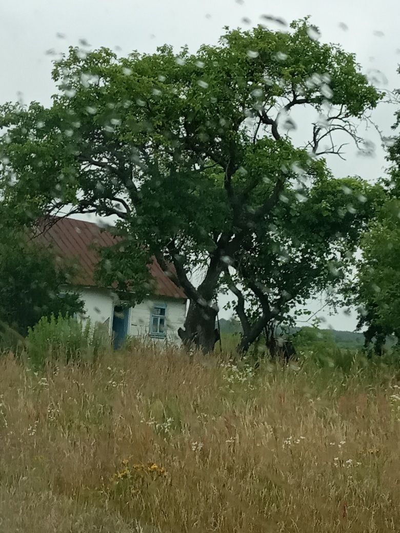 Дача за містом без сусідів