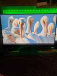 Monitor Acer KG1 24" | 1920x1080, 180Hz, HDR, 0,5ms | Gwarancja