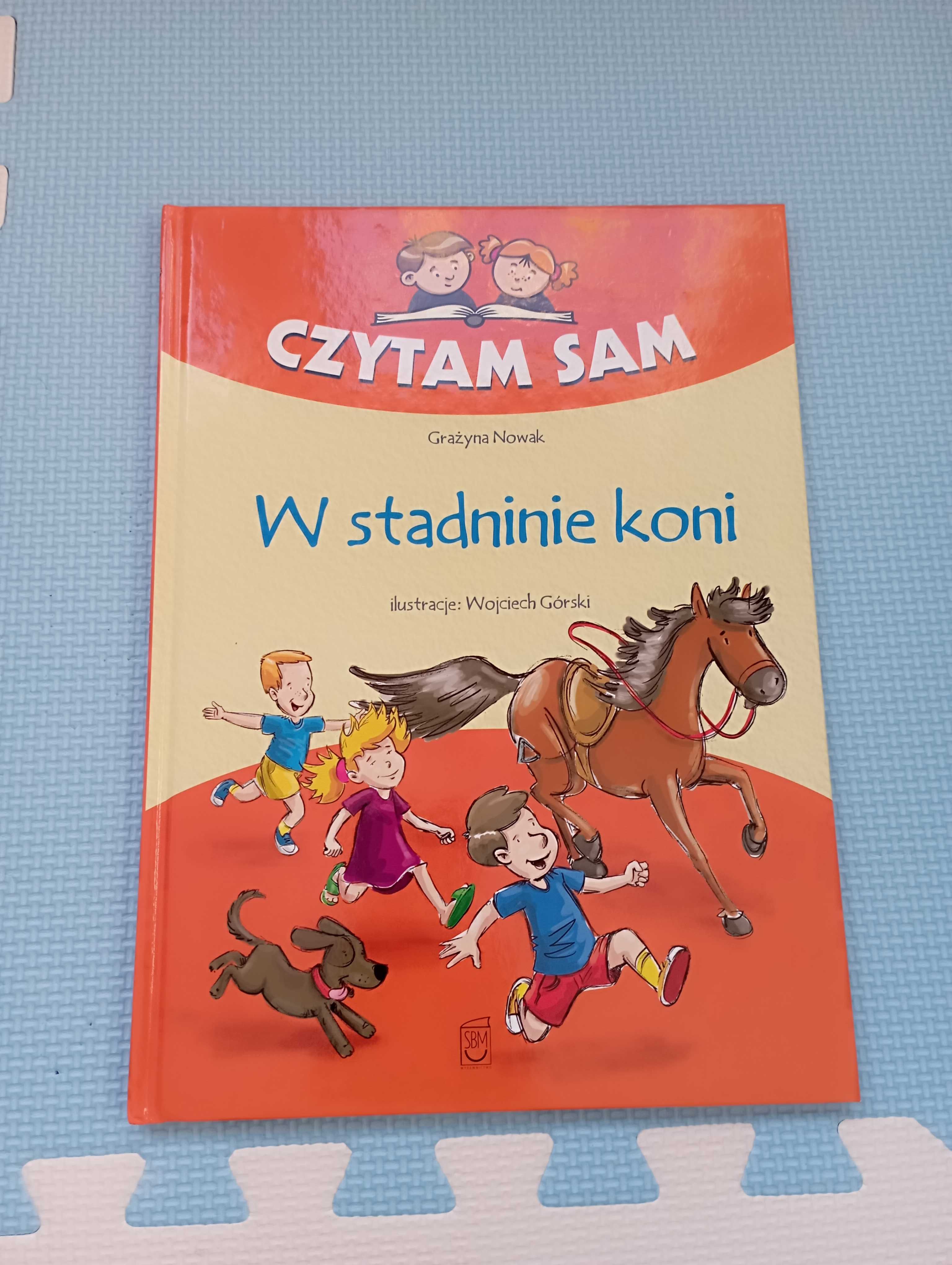 Książka dla dzieci, W stadninie koni + gratis