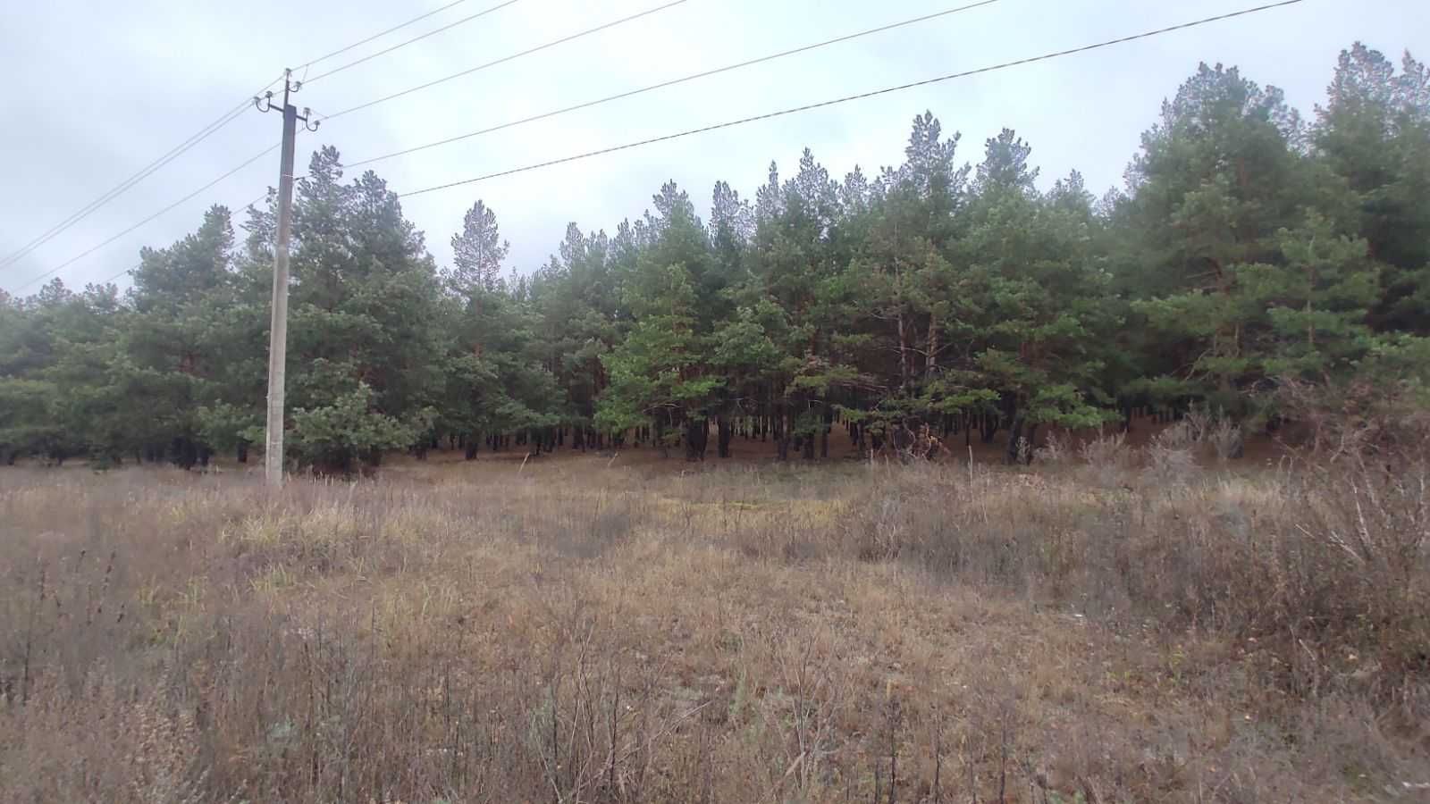 Ексклюзивна ділянка в с.Хотянівка, Вишгородського району.