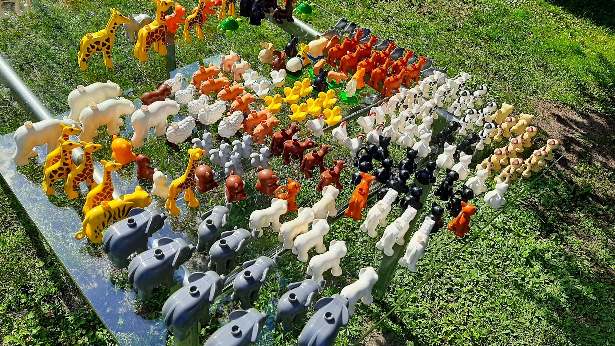 Ponad 200 zwierząt lego duplo