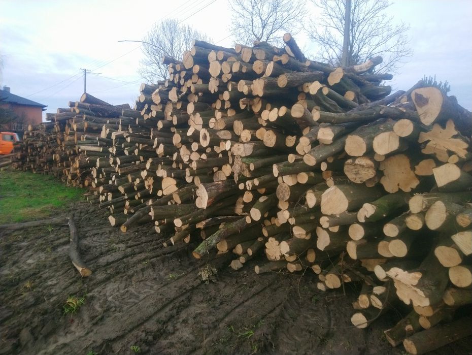 Drewno kominkowe - SOSNA, OSIKA, brzoza, dąb, drzewo opalowe, - m3