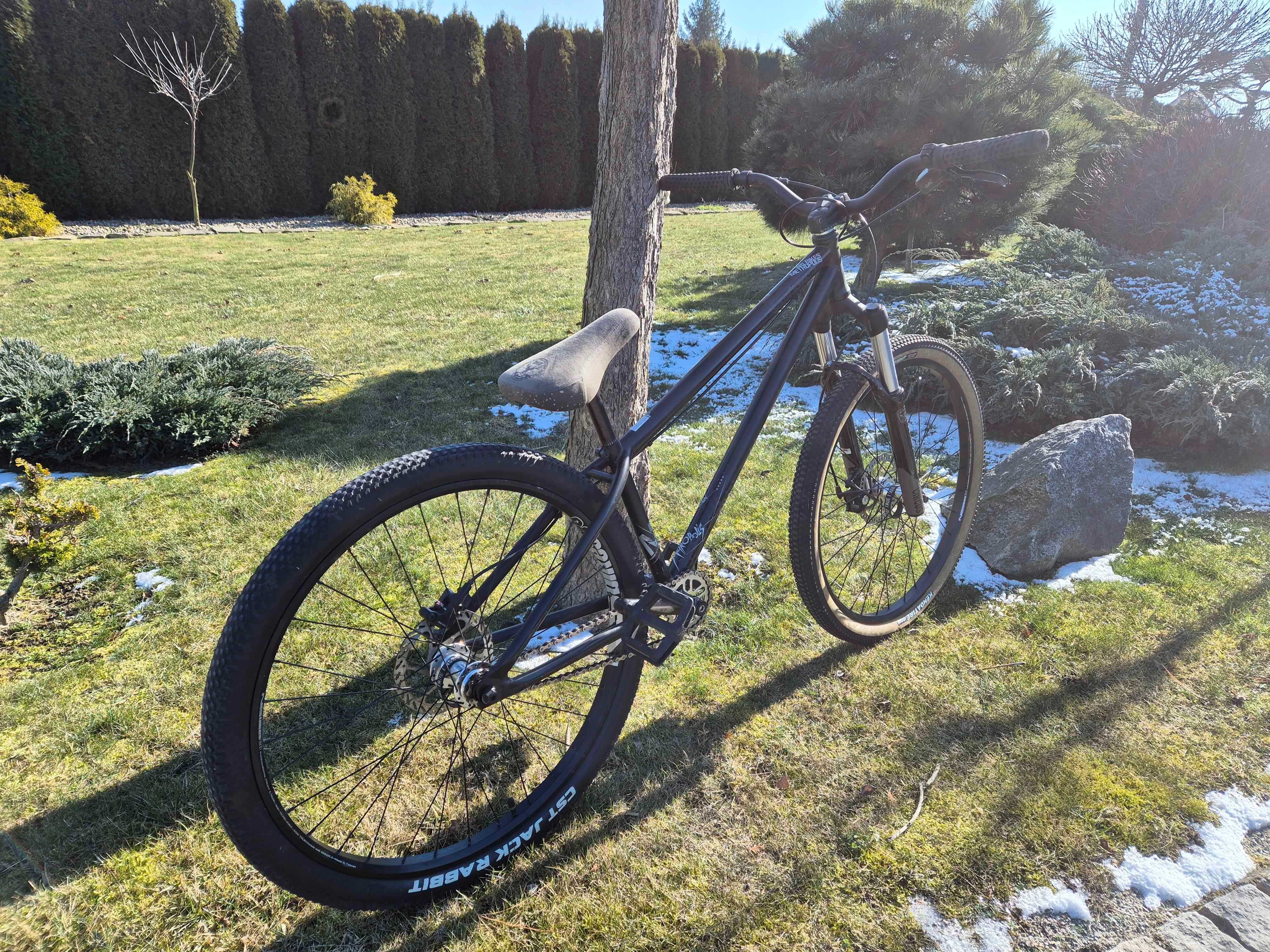 Rower dirt NS Bikes Metropolis 2 (2020)