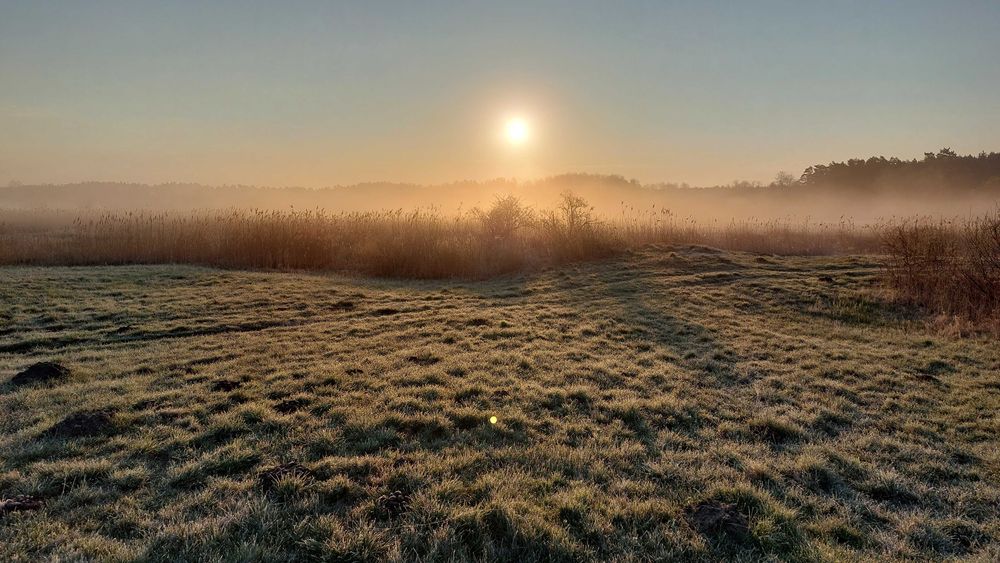 sprzedam działkę 1,3 ha,  teren z dostępem do rzeki Drwęcy.