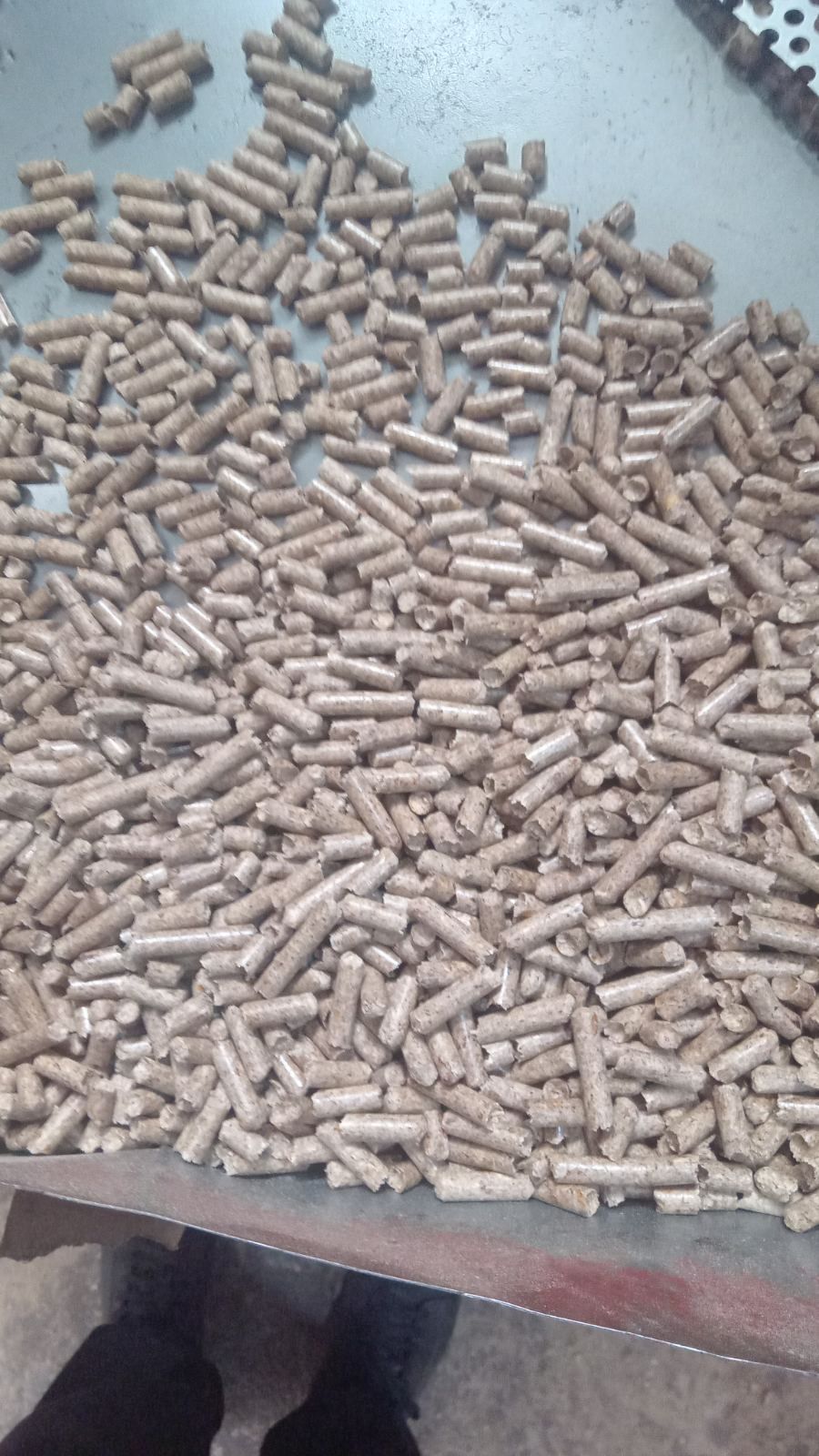 Pellet Dębowy A1