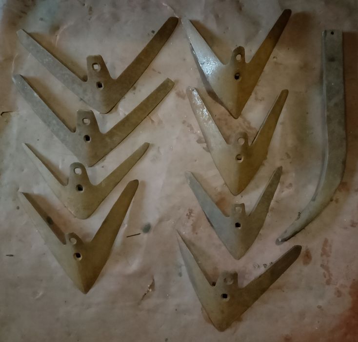 Борона зубова маленька райборінка