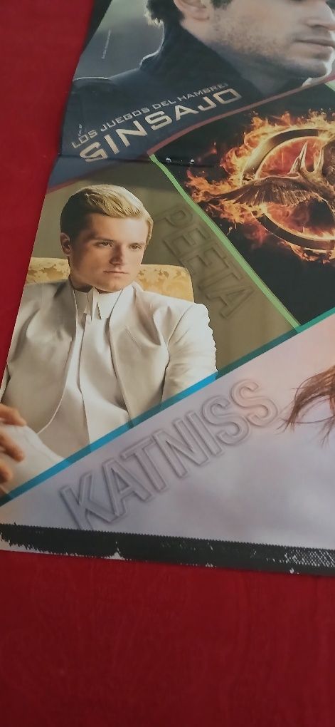 Poster Sinsajo - Katniss e Gale, novo